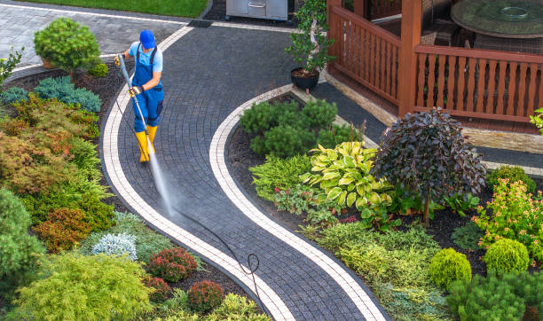 Best Roof Power Washing Services  in Arlington, TN